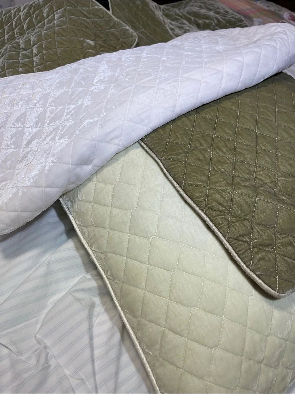 NWOT BELLA NOTTE silk and quilted velvet EURO SHAMS SAND
